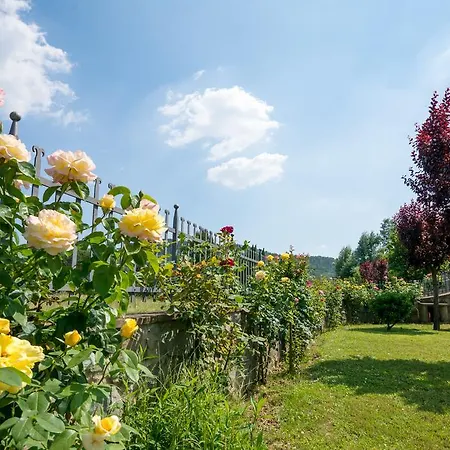 Maesta' Di Cudino 4*